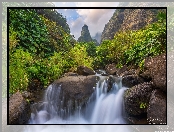 Roślinność, Hawaje, Wyspa Maui, Potok Iao Valley, Skały