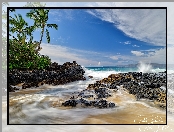 Palmy, Skały, Stany Zjednoczone, Plaża, Maui, Morze, Hawaje