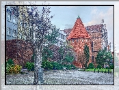 HDR, Gdańsk, Budynki, Drzewo, Tabliczka