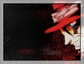 kapelusz, okulary, Hellsing, twarz
