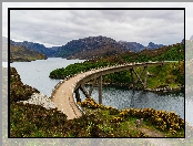 Szkocja, Krzewy, Roślinność, Region Highlands, Jezioro Loch a Chairn Bhain, Most Kylesku Bridge, Wzgórza
