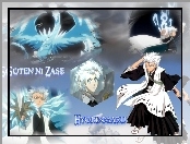Hitsugaya, Bleach, Katana, Manga