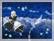 Hitsugaya Toshoro