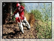 Motocross, Honda CRF450R