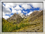 Hrabstwo Mono, Drzewa, Góry Sierra Nevada, Stany Zjednoczone, Miejsce McGee Creek, Stan Kalifornia