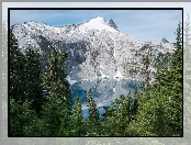 Stany Zjednoczone, Hrabstwo Garfield, Jezioro Cyclone Lake, Drzewa, Stan Utah, Góry