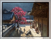 Świątynia, Hrabstwo Gurye, Korea Południowa, Buddyjska, Hwaom sa, Kwitnące, Drzewo