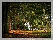 Park, Hrabstwo Monaghan, Irlandia, Rzeka, Castleblayney, Ławeczki