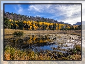 Hrabstwo Coconino, Stany Zjednoczone, Jesień, Wzgórza San Francisco Peaks, Trawy, Stan Arizona, Rozlewisko, Kemping Lockett Meadow, Drzewa