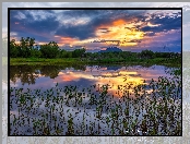 Hrabstwo Yavapai, Stany Zjednoczone, Willow Lake, Prescott, Odbicie, Arizona, Zachód słońca, Jezioro, Trawy