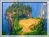 Rezerwat Wulingyuan, Drzewa, Skały, Chiny, Zhangjiajie National Forest Park, Hunan