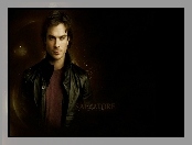 Ian Somerhalder, Wampirów, Damon Salvatore, Pamiętnik