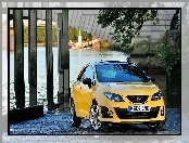 Seat Ibiza Cupra