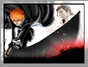 Aizen, Bankai, Ichigo