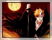 Kurosaki Ichigo, Hollow