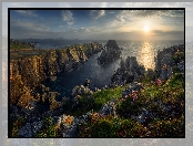 Skały, Przylądek Malin Head, Trawy, Zachód słońca, Hrabstwo Donegal, Irlandia, Kwiaty, Morze