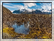 Jezioro, Islandia, Park Narodowy Vatnajökull, Góry, Drzewa