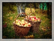 Jabłka, Jesień, Drzewa, Liście, Kosze