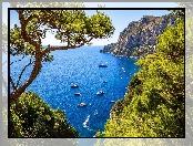 Włochy, Skały, Jachty, Wyspa Capri, Zatoka Marina Piccola, Morze Tyrreńskie, Drzewo