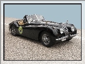 Jaguar, Black, XK, 120