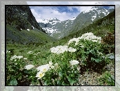 Jaskry, Fjordland National Park, Wysokogórskie, Góry