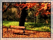 Jesień, Park, Rzeka, Ławka, Liście