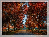 Jesień, Park, Drzewa, Ławki, Aleja
