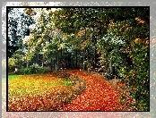Jesień, Ścieżka, Drzewa, Park