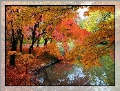 Jesień, Rzeka, Kolorowe, Drzewa, Park