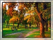 Jesień, Park, Drzewa, Ławka