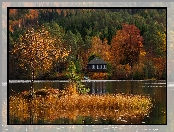 Las, Jesień, Jezioro, Drzewa, Dom