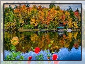 Jesień, Domek, Park, Jezioro, Kwiaty