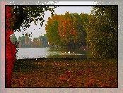 Jesień, Rzeka, Łabędzie, Kaczki, Drzewa