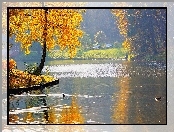 Jesień, Park, Woda, Kaczki, Drzewa