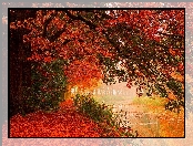Jesień, Rzeka, Drzewa, Kolorowe, Liście