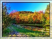 Jesień, Jezioro, Kolorowe, Drzewa