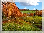 Jesień, Łąka, Krajobraz, Drzewa