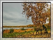 Jesień, Ławeczki, Las, Jezioro