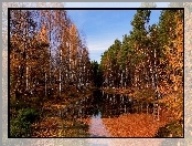 Jesień, Liście, Las, Woda