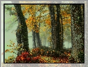 Jesień, Mgła, Las, Drzewa