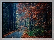 Jesień, Park, Drzewa, Liście, Ławki