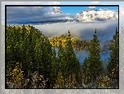 Jesień, Drzewa, Stany Zjednoczone, Góry, Stan Wyoming, Park Narodowy Grand Teton, Las, Świerki, Mgła, Krajobraz
