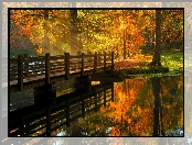 Jesień, Park, Rzeka, Most, Światło