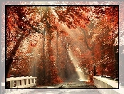 Jesień, Światło, Most, Droga