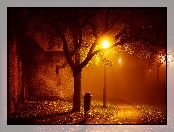 Ścieżka, Noc, Park, Jesień, Latarnie