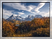 Jesień, Chile, Góry, Drzewa, Park Narodowy Torres del Paine, Patagonia