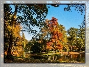 Park, Jesień, Staw