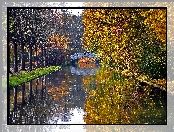 Jesień, Drzewa, Rzeka, Most