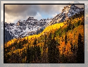 Góry, Kolorado, Stany Zjednoczone, San Juan Mountains, Lasy, Drzewa, Jesień