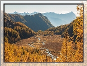 Dolina Preda Rossa, Prowincja Sondrio, Włochy, Góry, Rzeka, Drzewa, Jesień